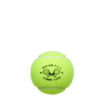 Wilson Championship Legacy Sarı 3’lü Tenis Topu - Görsel 2